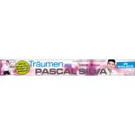 24-01-2012 - daniela - pascal_silva - banner quer.jpg
